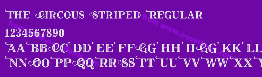 The Circous Striped RegularPreview