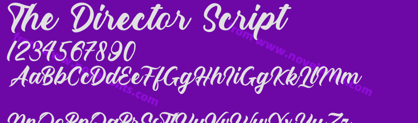 The Director ScriptPreview The Director ScriptPreview