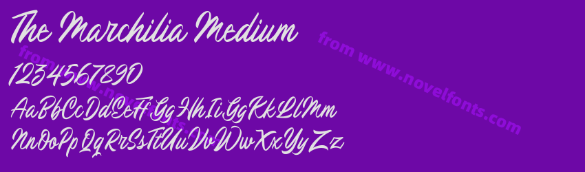 The Marchilia MediumPreview The Marchilia MediumPreview