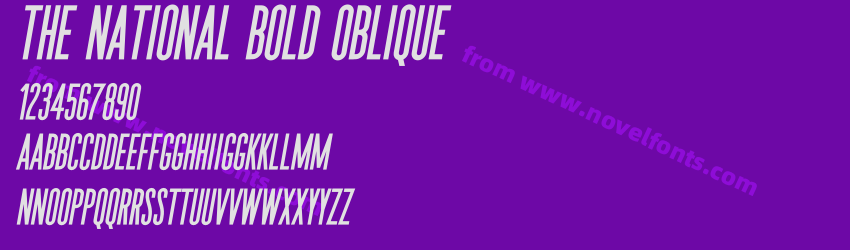 The National Bold ObliquePreview The National Bold ObliquePreview