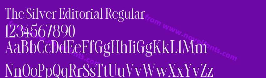 The Silver Editorial RegularPreview The Silver Editorial RegularPreview