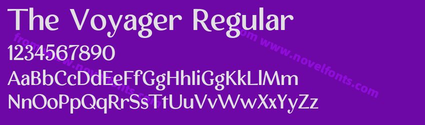 The Voyager RegularPreview The Voyager RegularPreview