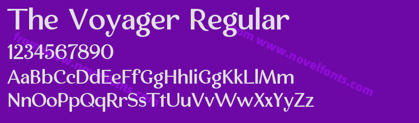 The Voyager RegularPreview The Voyager RegularPreview