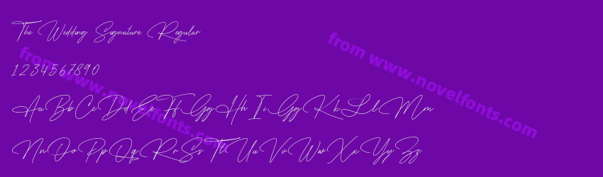 The Wedding Signature RegularPreview The Wedding Signature RegularPreview