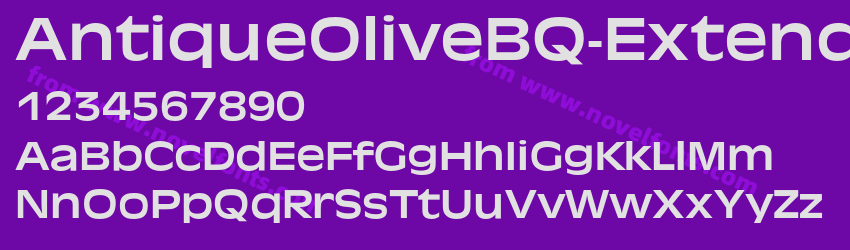 AntiqueOliveBQ-ExtendedPreview