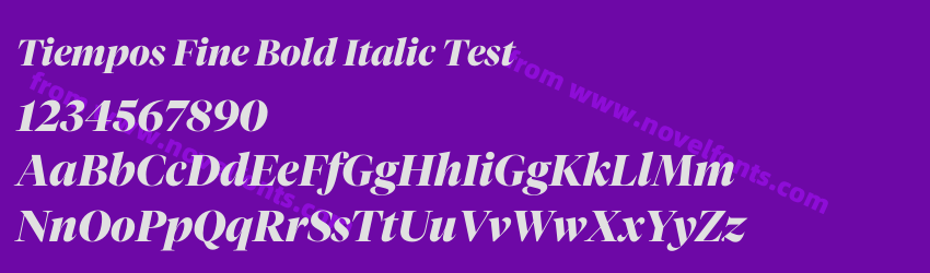 Tiempos Fine Bold Italic TestPreview Tiempos Fine Bold Italic TestPreview