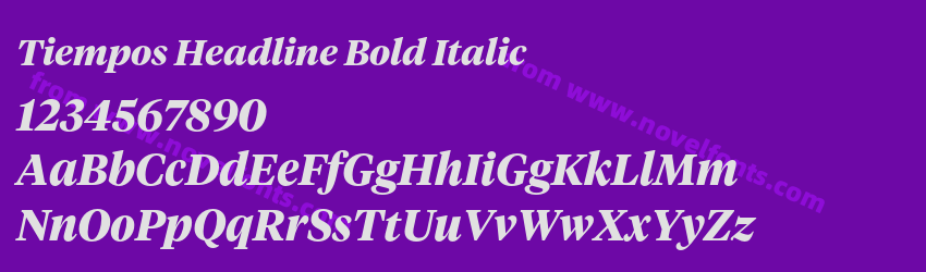 Tiempos Headline Bold ItalicPreview Tiempos Headline Bold ItalicPreview