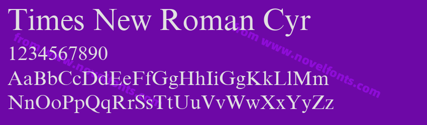 Times New Roman CyrPreview Times New Roman CyrPreview