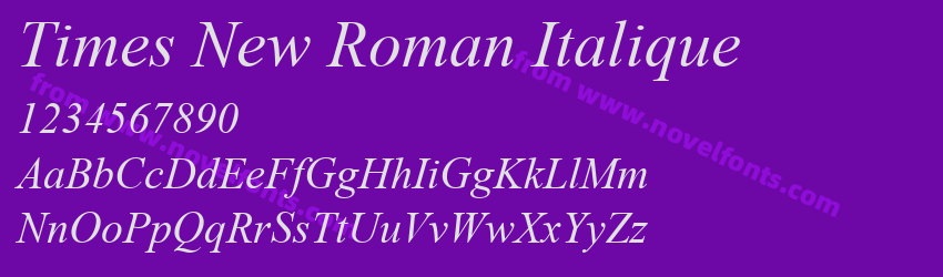 Times New Roman ItaliquePreview Times New Roman ItaliquePreview