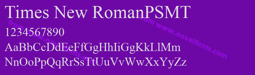 Times New RomanPSMTPreview Times New RomanPSMTPreview