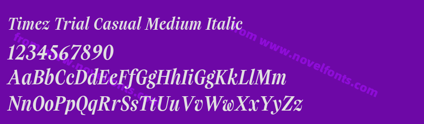Timez Trial Casual Medium ItalicPreview Timez Trial Casual Medium ItalicPreview