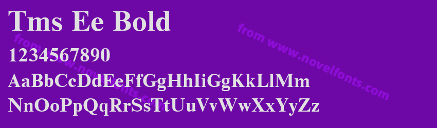 Tms Ee BoldPreview Tms Ee BoldPreview