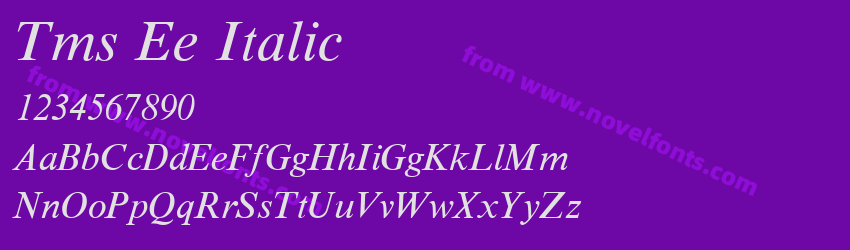 Tms Ee ItalicPreview Tms Ee ItalicPreview