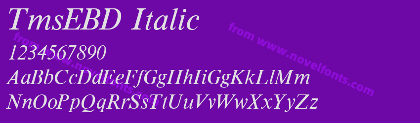 TmsEBD ItalicPreview TmsEBD ItalicPreview