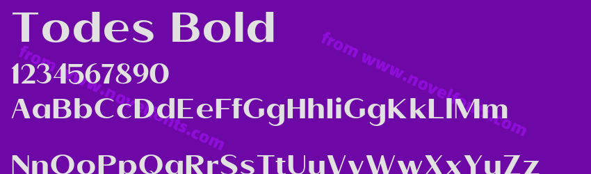 Todes BoldPreview Todes BoldPreview
