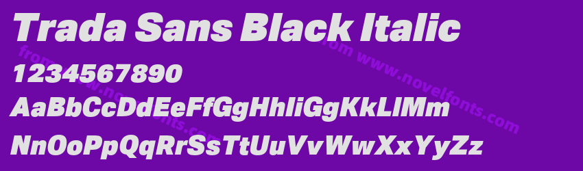 Trada Sans Black ItalicPreview
