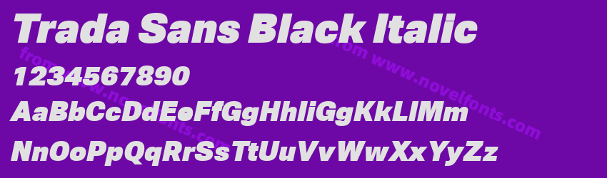 Trada Sans Black ItalicPreview Trada Sans Black ItalicPreview