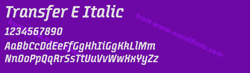 Transfer E ItalicPreview Transfer E ItalicPreview