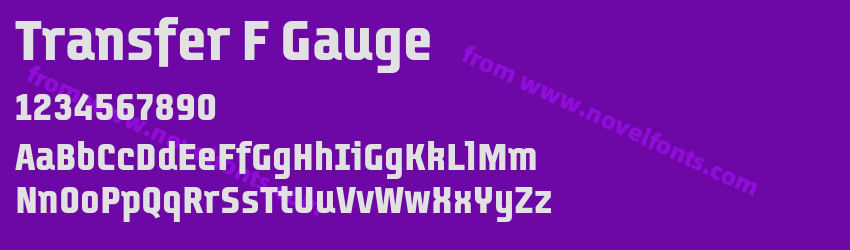Transfer F GaugePreview Transfer F GaugePreview