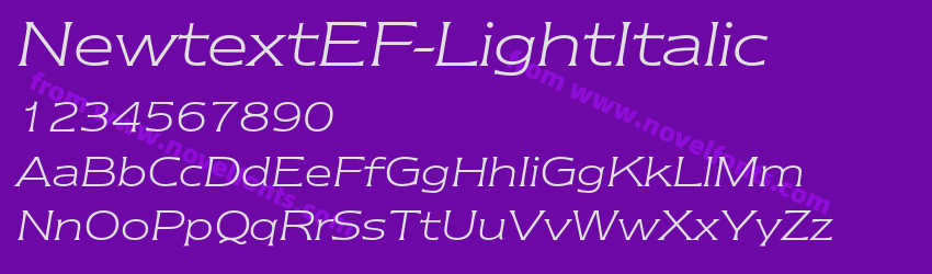 NewtextEF-LightItalicPreview