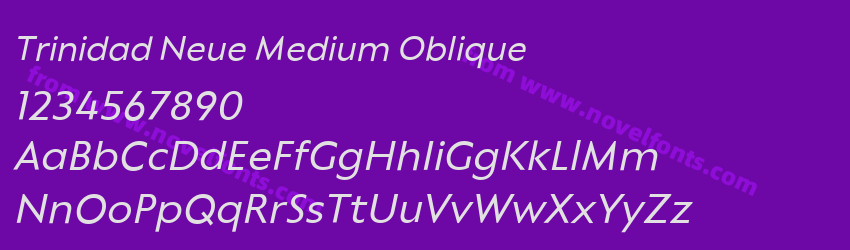 Trinidad Neue Medium ObliquePreview Trinidad Neue Medium ObliquePreview