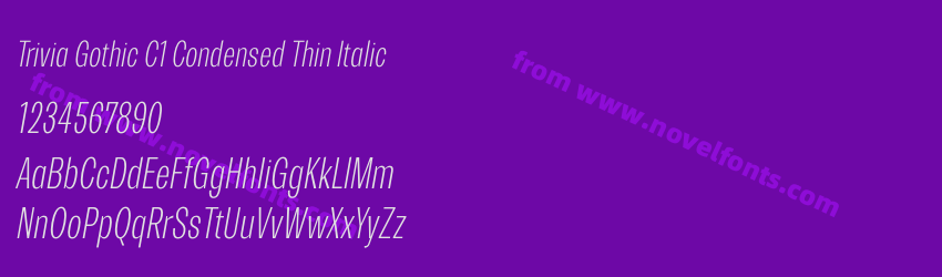 Trivia Gothic C1 Condensed Thin ItalicPreview Trivia Gothic C1 Condensed Thin ItalicPreview
