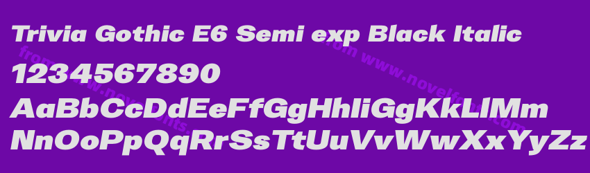 Trivia Gothic E6 Semi exp Black ItalicPreview Trivia Gothic E6 Semi exp Black ItalicPreview