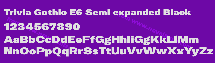 Trivia Gothic E6 Semi expanded BlackPreview Trivia Gothic E6 Semi expanded BlackPreview