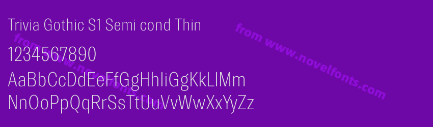 Trivia Gothic S1 Semi cond ThinPreview Trivia Gothic S1 Semi cond ThinPreview