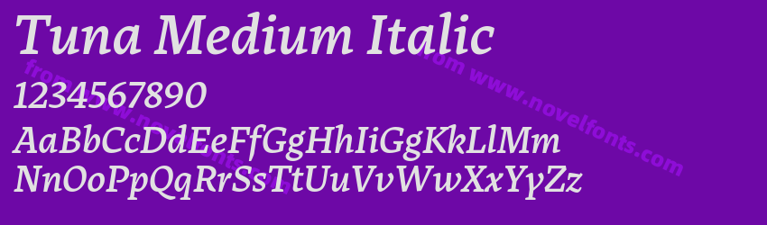 Tuna Medium ItalicPreview Tuna Medium ItalicPreview