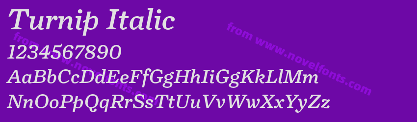 Turnip ItalicPreview Turnip ItalicPreview
