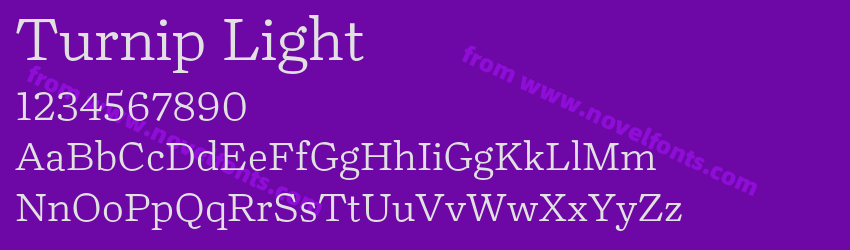 Turnip LightPreview Turnip LightPreview