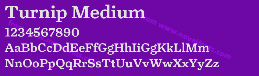 Turnip MediumPreview Turnip MediumPreview
