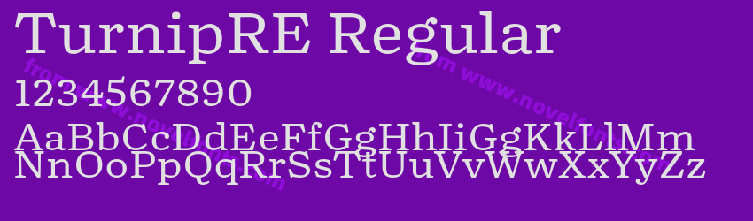 TurnipRE RegularPreview TurnipRE RegularPreview