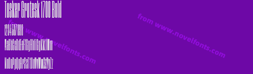 Tusker Grotesk 1700 BoldPreview Tusker Grotesk 1700 BoldPreview