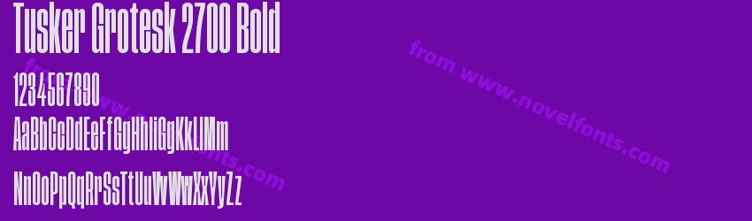 Tusker Grotesk 2700 BoldPreview Tusker Grotesk 2700 BoldPreview