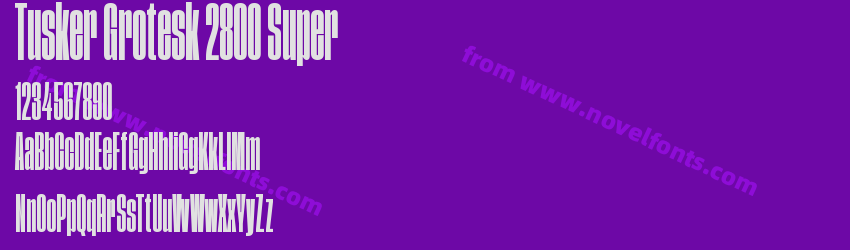 Tusker Grotesk 2800 SuperPreview Tusker Grotesk 2800 SuperPreview