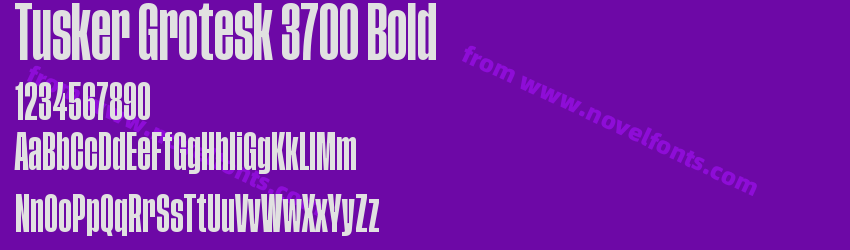 Tusker Grotesk 3700 BoldPreview Tusker Grotesk 3700 BoldPreview