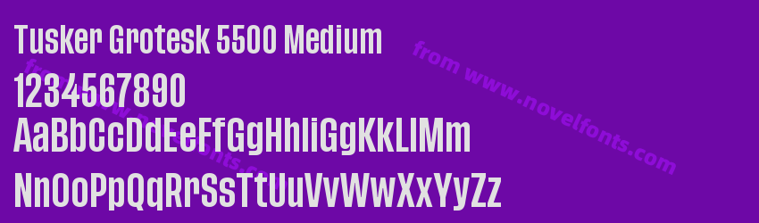 Tusker Grotesk 5500 MediumPreview Tusker Grotesk 5500 MediumPreview