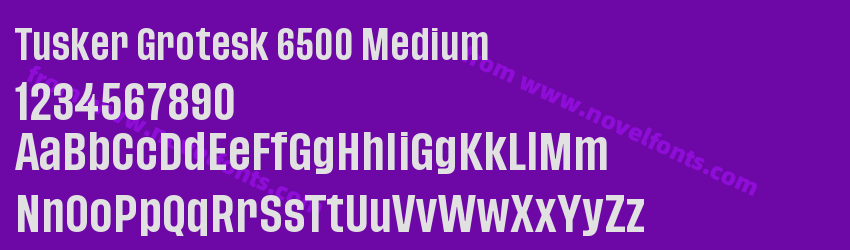 Tusker Grotesk 6500 MediumPreview Tusker Grotesk 6500 MediumPreview