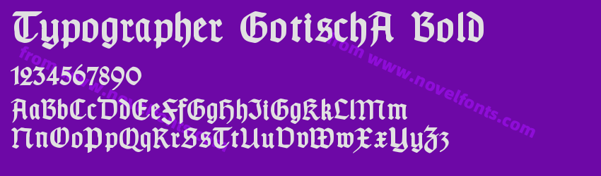 Typographer GotischA BoldPreview Typographer GotischA BoldPreview