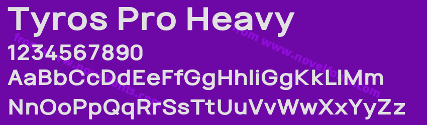 Tyros Pro HeavyPreview