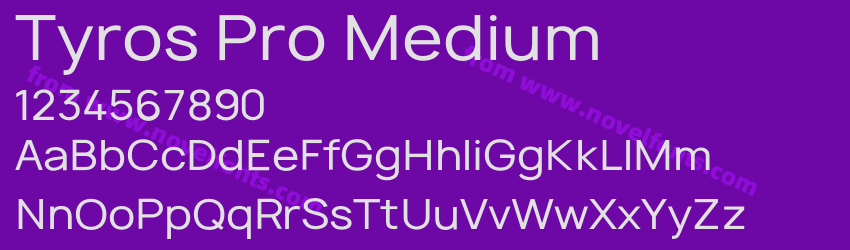 Tyros Pro MediumPreview Tyros Pro MediumPreview