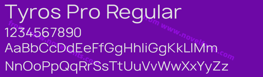 Tyros Pro RegularPreview Tyros Pro RegularPreview