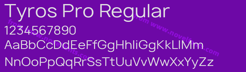 Tyros Pro RegularPreview Tyros Pro RegularPreview