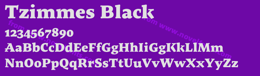 Tzimmes BlackPreview Tzimmes BlackPreview