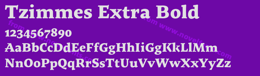 Tzimmes Extra BoldPreview Tzimmes Extra BoldPreview