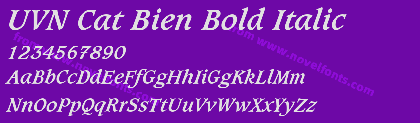 UVN Cat Bien Bold ItalicPreview UVN Cat Bien Bold ItalicPreview