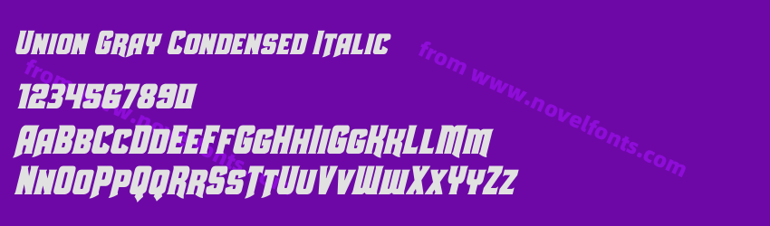 Union Gray Condensed ItalicPreview Union Gray Condensed ItalicPreview