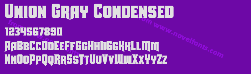 Union Gray CondensedPreview Union Gray CondensedPreview